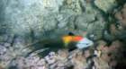 dsc06836_small.jpg