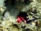 dsc06840_small.jpg
