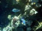 dsc06841_small.jpg