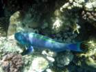dsc06842_small.jpg