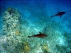 dsc06847_small.jpg