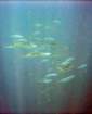 dsc06849_small.jpg