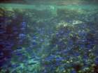 dsc06851_small.jpg