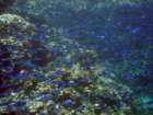 dsc06852_small.jpg