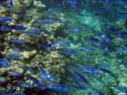 dsc06853_small.jpg