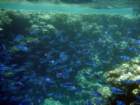 dsc06854_small.jpg