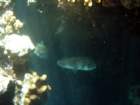 dsc06858_small.jpg