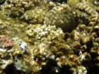 dsc06863_small.jpg