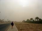 dsc06672_small.jpg
