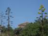 dsc06871_small.jpg