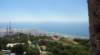 dsc06881_small.jpg