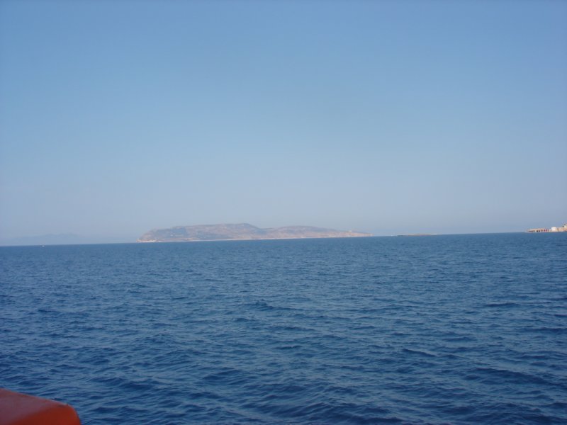 dsc06917.jpg