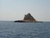 dsc06926_small.jpg