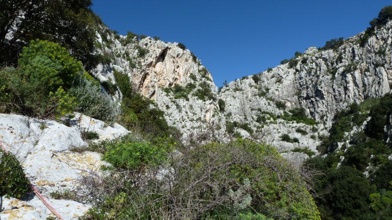p1000078.jpg