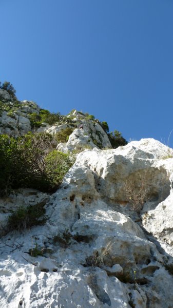 p1000080.jpg
