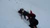 corsoisa2011020_small.jpg
