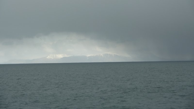 p1000407.jpg