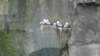 p1000412_small.jpg