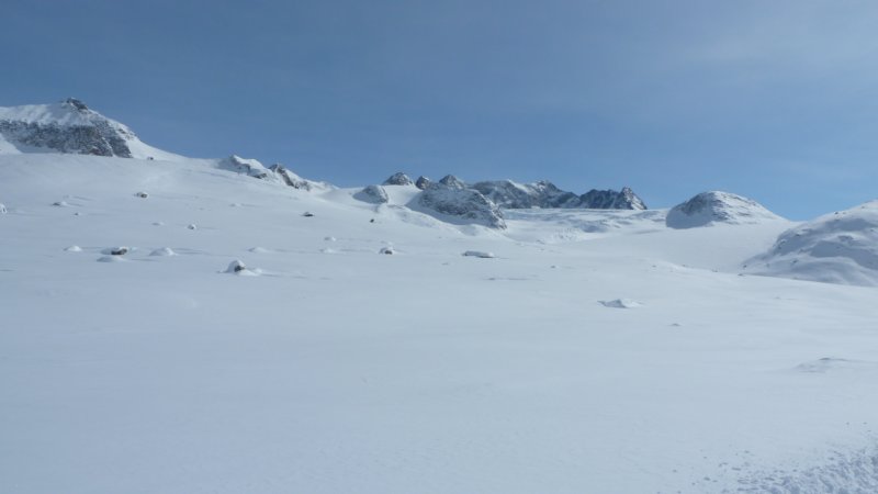 p1000710.jpg