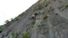 p1000220_small.jpg