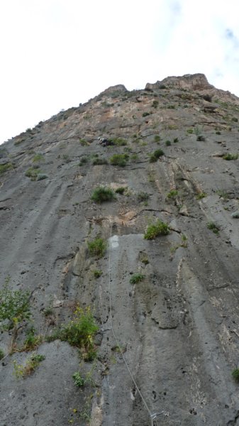 p1000225.jpg