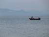 p1010099_small.jpg