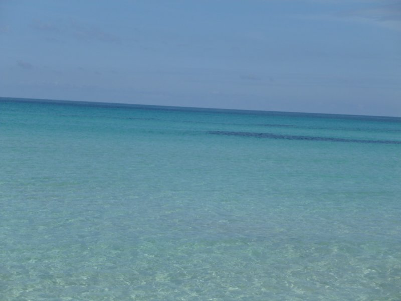 p1010127.jpg