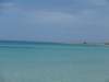 p1010128_small.jpg