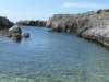 p1010133_small.jpg