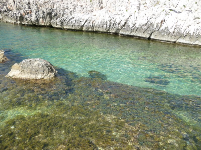 p1010134.jpg