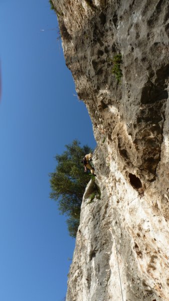 p1000255.jpg