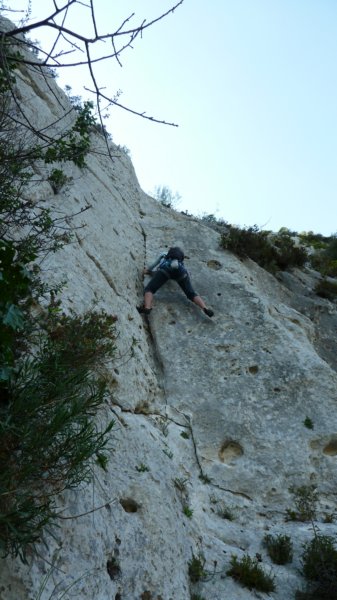 p1000290.jpg