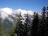 imgp5984_small.jpg