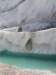 imgp6081_small.jpg