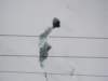 imgp6175_small.jpg