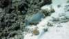 p1000823_small.jpg