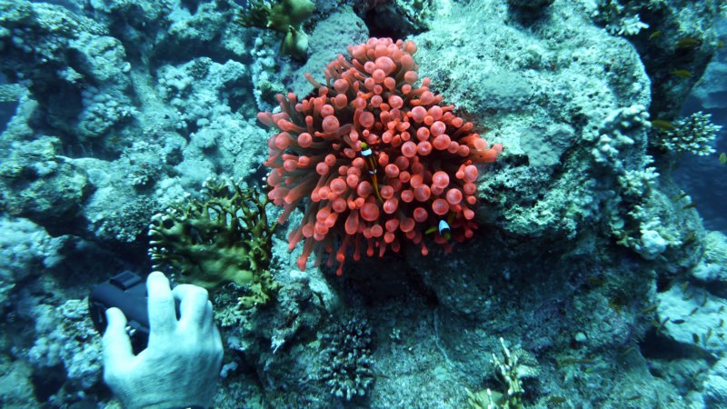 p1000837.jpg