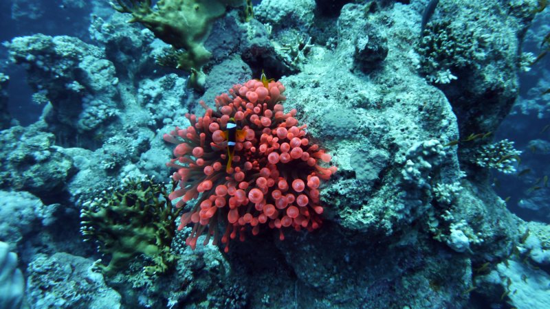 p1000838.jpg
