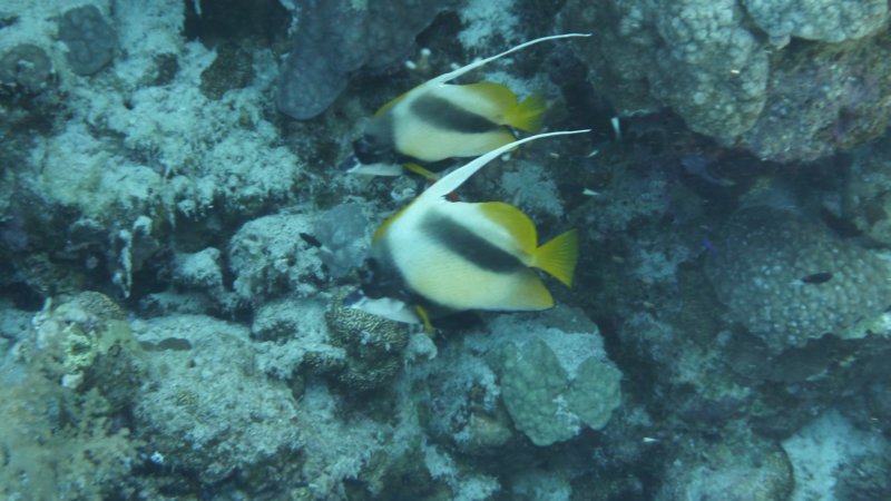 p1000863.jpg