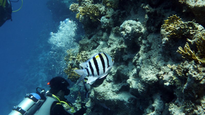 p1000867.jpg