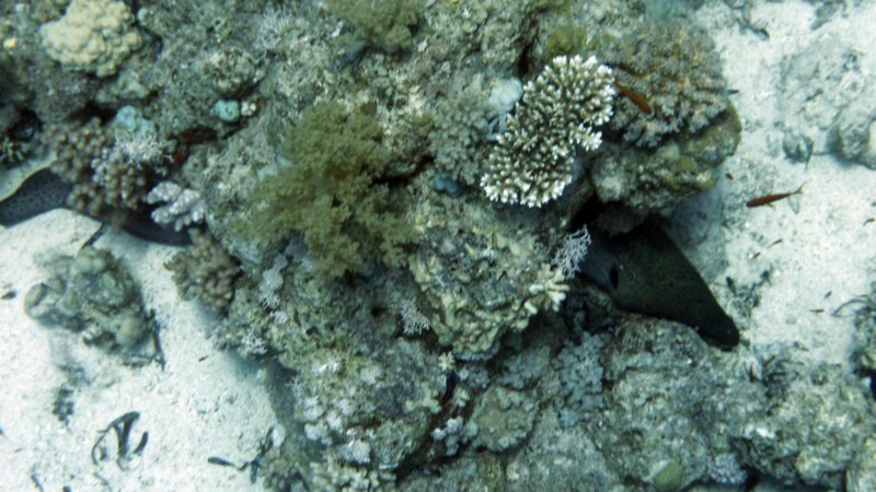 p1000877.jpg