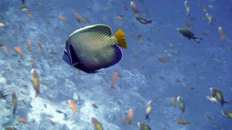p1000879.jpg