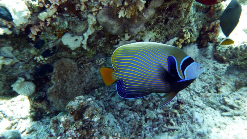 p1010009.jpg
