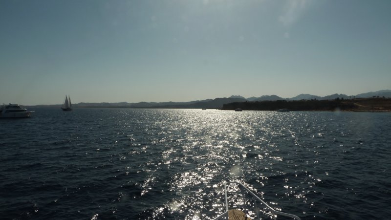 p1010019.jpg