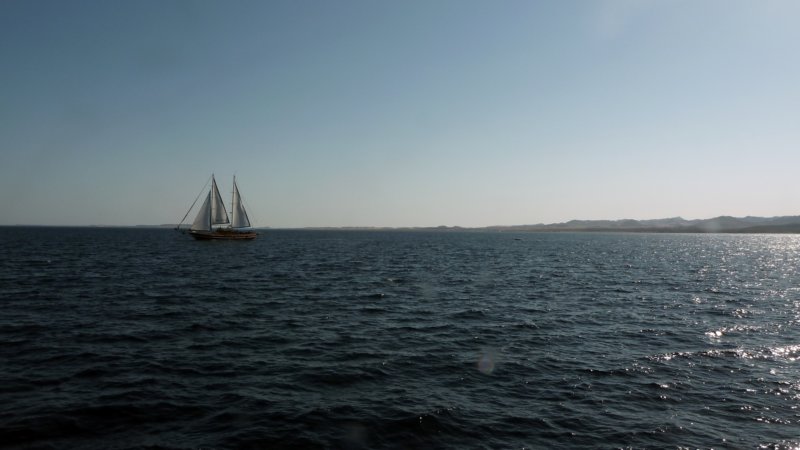 p1010021.jpg