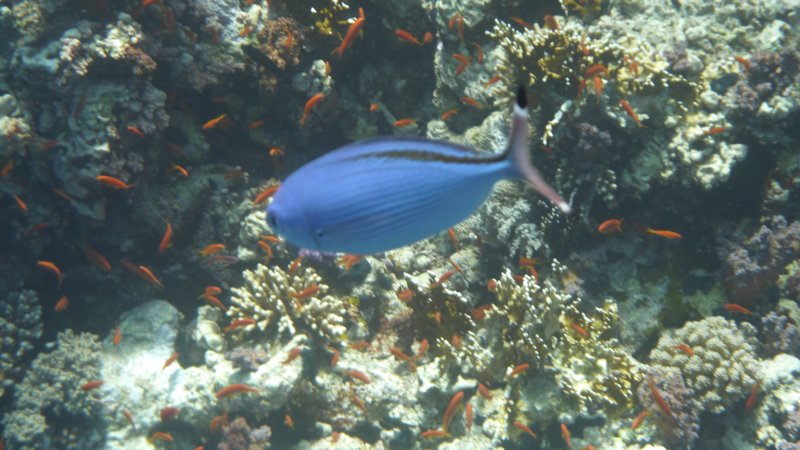 p1010044.jpg
