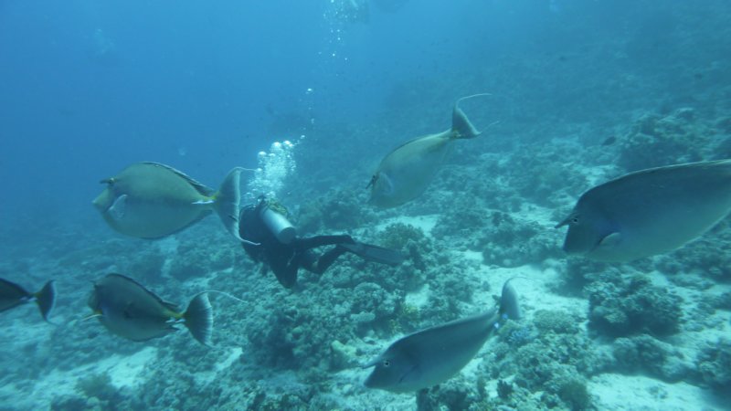 p1010057.jpg