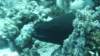 p1010061_small.jpg