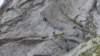 p1010105_small.jpg