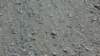 p1010110_small.jpg